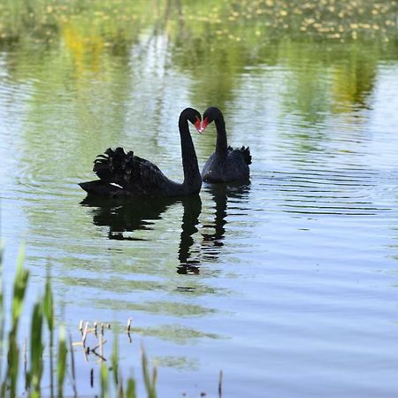 Dom Na Wodzie Mazury Villa Dzwierzuty Bagian luar foto
