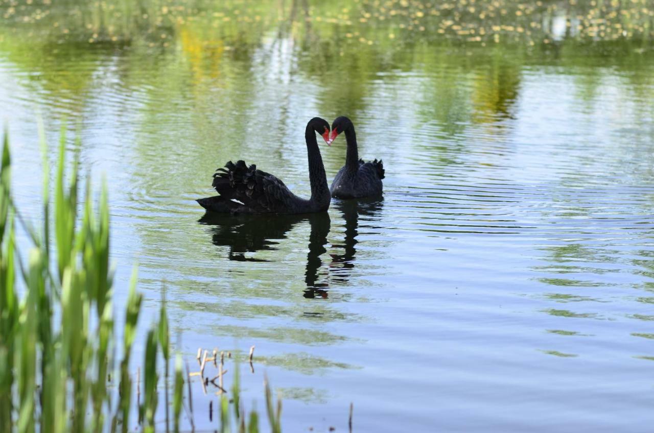 Dom Na Wodzie Mazury Villa Dzwierzuty Bagian luar foto